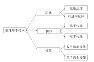  哪里可以找到详细的篮球训练与发展蓝图：全面指南与专家建议